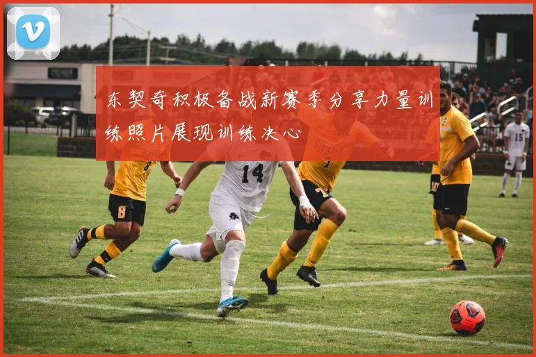 东契奇积极备战新赛季分享力量训练照片展现训练决心
