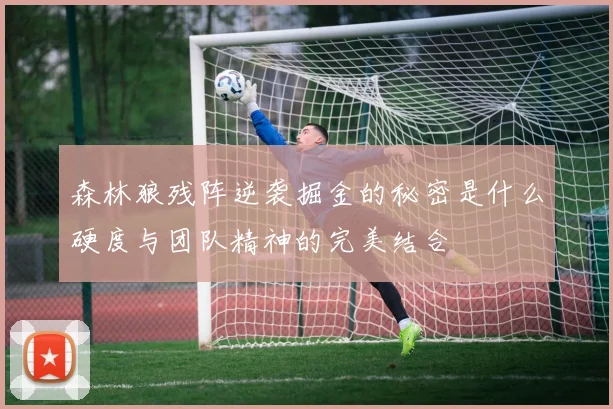森林狼残阵逆袭掘金的秘密是什么硬度与团队精神的完美结合